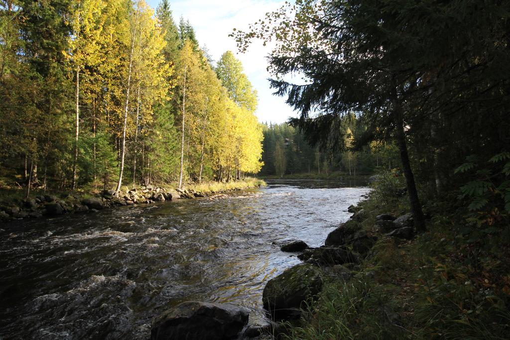 Keskikosken Lomamökit Venajanjarvi Exteriör bild