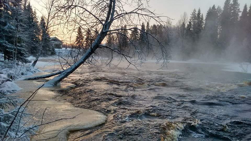 Keskikosken Lomamökit Venajanjarvi Exteriör bild